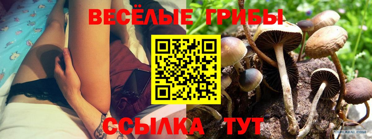 Галлюциногенные грибы MAGIC MUSHROOMS Туапсе
