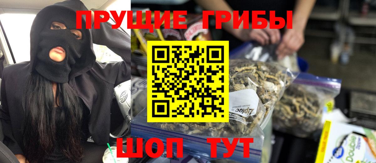 наркошоп  Псилоцибиновые грибы Psilocybe  Вход с VPN  Туапсе 